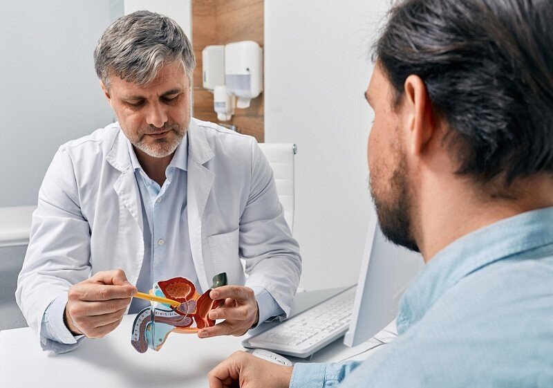 Urologo mostra modello di prostata a paziente in consulto medico.